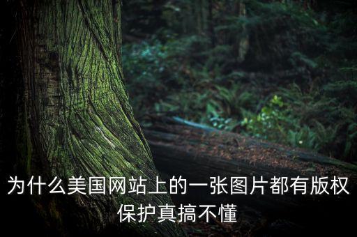 為什么國外重視版權(quán)，為什么美國網(wǎng)站上的一張圖片都有版權(quán)保護(hù)真搞不懂