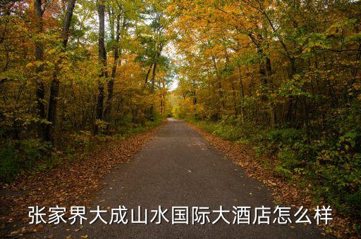 大成山水國際酒店毛致平是個什么人，大成山水老總毛致平是哪年出生的