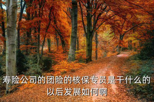 團(tuán)險(xiǎn)專員都做什么，團(tuán)險(xiǎn)專員做什么