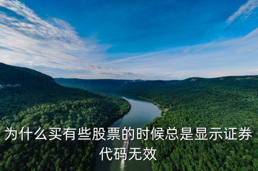 證券代碼無效什么意思，為什么買有些股票的時(shí)候總是顯示證券代碼無效