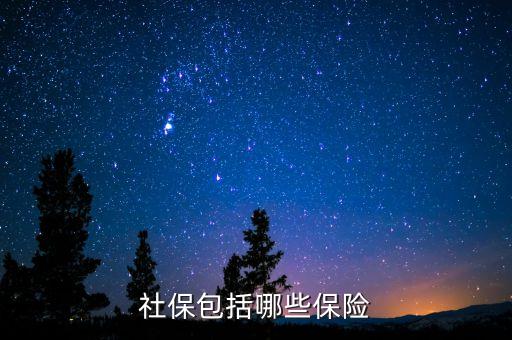 社保保險保些什么，社會保險包括哪些險