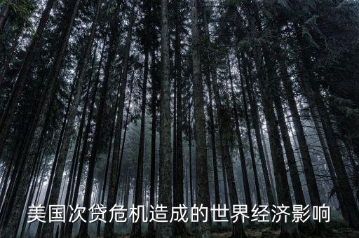 美國(guó)次貸危機(jī)造成的世界經(jīng)濟(jì)影響