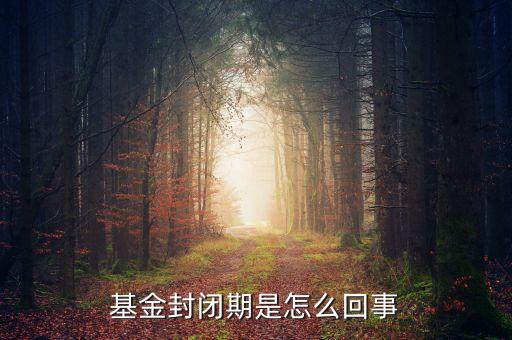 封閉式基金為什么要封閉，為什么認(rèn)購(gòu)基金要封閉期封閉期是3個(gè)月內(nèi)不得提現(xiàn)