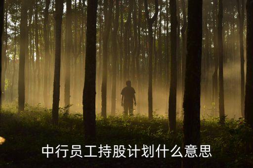 員工持股意味著什么，為什么要員工持股為什么老總要增持