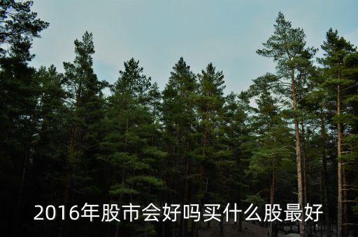 2016年什么股票最賺錢(qián)，2010年到2016年最賺錢(qián)的股票