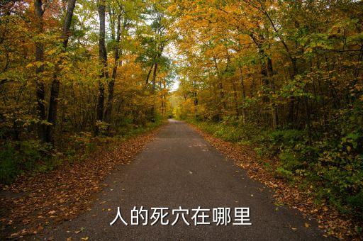 人身死穴在什么地方，人的死穴在哪里