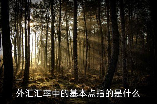 外匯基點是什么意思，外匯匯率中的基本點指的是什么