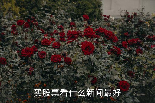 炒股看什么看什么財(cái)經(jīng)，有什么比較好的推薦股票的財(cái)經(jīng)節(jié)目