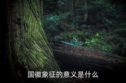 國琪意義是什么，國徽象征的意義是什么