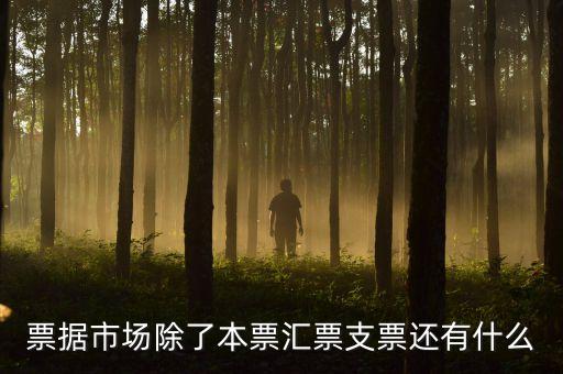 票據(jù)市場(chǎng)是各類票據(jù)什么的，票據(jù)貼現(xiàn)市場(chǎng)屬于貨幣市場(chǎng)嗎