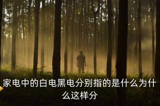 三星白電是什么意思，家電中的白電黑電分別指的是什么為什么這樣分