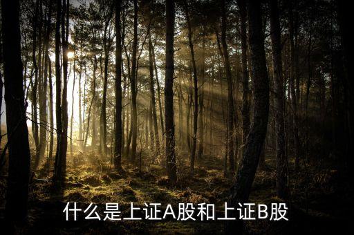 什么股票屬于上證，什么股票代碼屬于上證指數(shù)1A0001