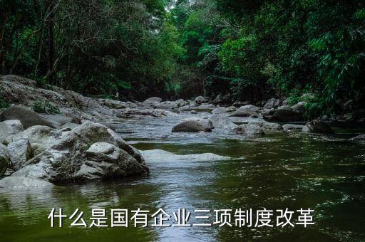 新鋼公司三項(xiàng)制度改革是什么，什么是國有企業(yè)三項(xiàng)制度改革
