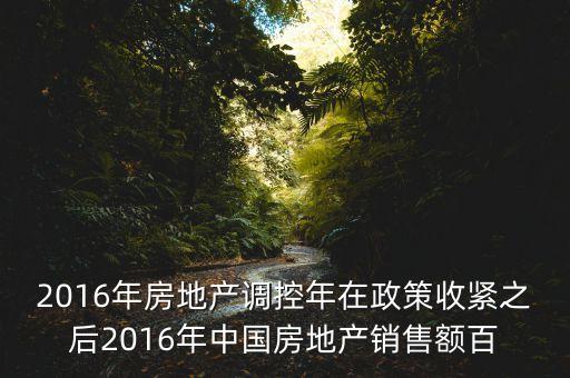 2016房市下一步還能出什么政策，2016年房地產(chǎn)調(diào)控年在政策收緊之后2016年中國房地產(chǎn)銷售額百