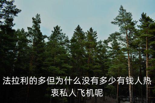 為什么富豪不買(mǎi)大飛機(jī)，公務(wù)機(jī)失寵富豪不再買(mǎi)貴買(mǎi)大