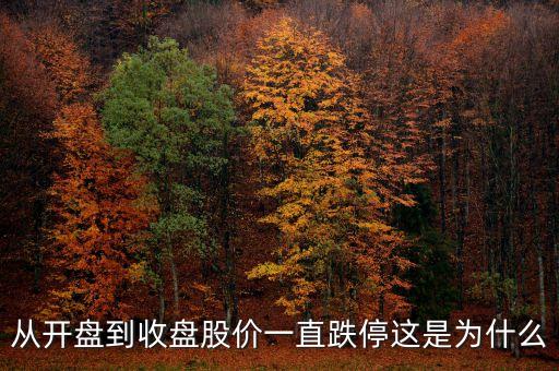 為什么開(kāi)盤就跌停，從開(kāi)盤到收盤股價(jià)一直跌停這是為什么