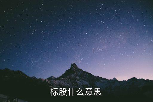標(biāo)股什么意思