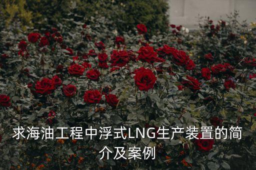 什么是浮式lng項(xiàng)目，什么是浮式LNG