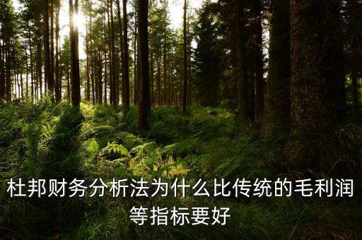 為什么要比較毛利率，杜邦財務(wù)分析法為什么比傳統(tǒng)的毛利潤等指標(biāo)要好