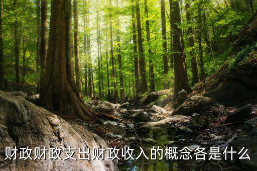 什么是財政支出，財政支農(nóng)支出的含義是什么