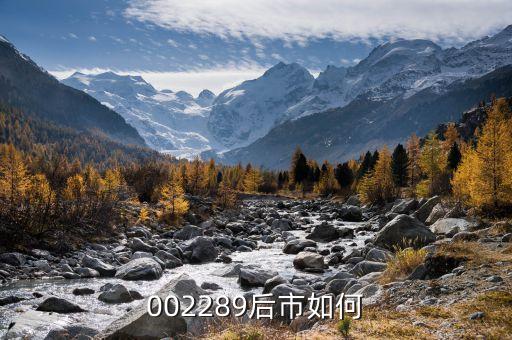 聶新勇持股什么，除了馮毅天龍集團(tuán)的其他股東是誰(shuí)