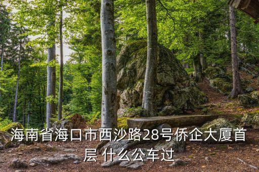 海南公務(wù)車什么號(hào)段，誰(shuí)知道海南41 11月20日開(kāi)的什么號(hào)碼
