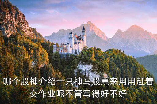 神馬股票是什么，哪個股神介紹一只神馬股票來用用趕著交作業(yè)呢不管寫得好不好