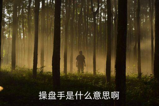 股票里操盤手聯(lián)盟是什么意思，有哪位高人可以給我詳細(xì)解釋下操盤手是什么意思