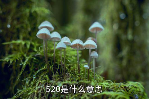 什么是1浪5，江恩數(shù)浪法則如何劃分五浪