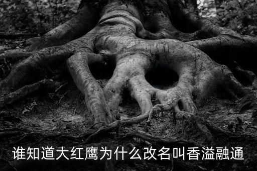 為什么買香溢融通，買當(dāng)代歌壇看到一個(gè)被稱為實(shí)偶派的歌手 饒威求科普