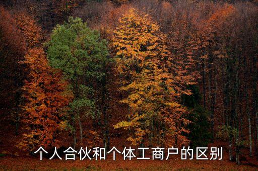 個人合伙領(lǐng)取什么經(jīng)營執(zhí)照，個人合伙辦理個體工商戶執(zhí)照