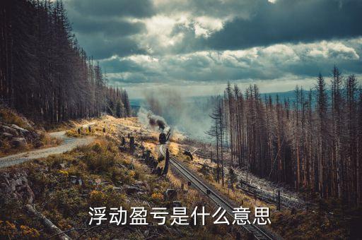 浮動盈虧60是什么意思，浮動盈虧是什么意思