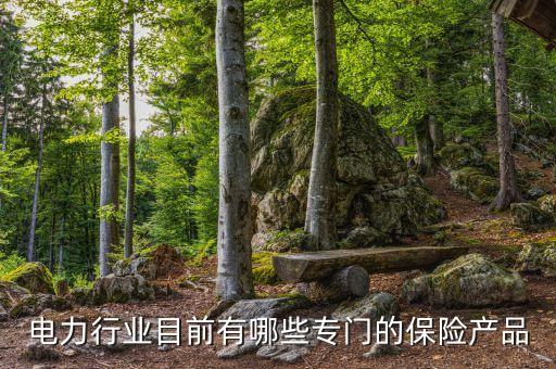 電力行業(yè)目前有哪些專門的保險產(chǎn)品