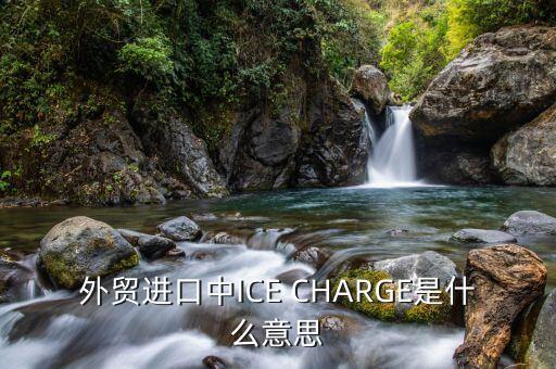ice布油是什么，外貿進口中ICE CHARGE是什么意思
