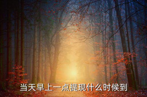 海納幣什么時(shí)候提現(xiàn)，你們那里說什么時(shí)候可以提現(xiàn)嗎