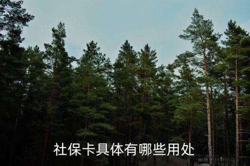 社?？ň唧w有哪些用處