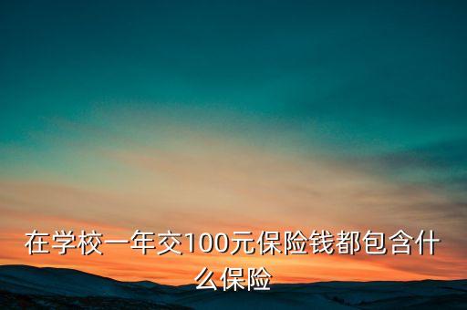 100元保險都保什么，在學校一年交100元保險錢都包含什么保險