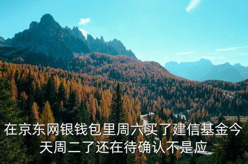 002378建信什么時候確認份額，在京東網(wǎng)銀錢包里周六買了建信基金今天周二了還在待確認不是應(yīng)