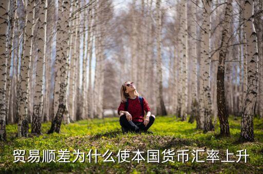 為什么貿(mào)易順差會(huì)導(dǎo)致匯率上漲，貿(mào)易順差為什么使本國(guó)貨幣匯率上升