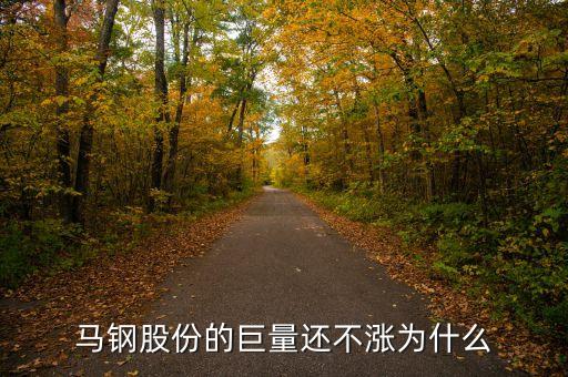 馬鋼集團(tuán)為什么還不倒，馬鋼集團(tuán)為什么沒排在世界500強(qiáng)中