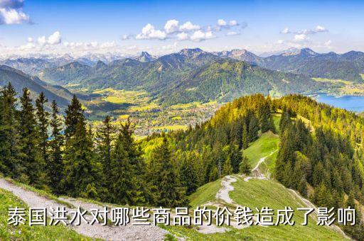 洪災(zāi)對什么價格有影響，洪災(zāi)對什么市場影響最大