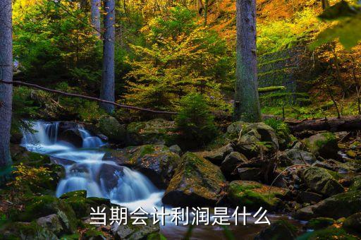 當(dāng)期會(huì)計(jì)利潤(rùn)是什么