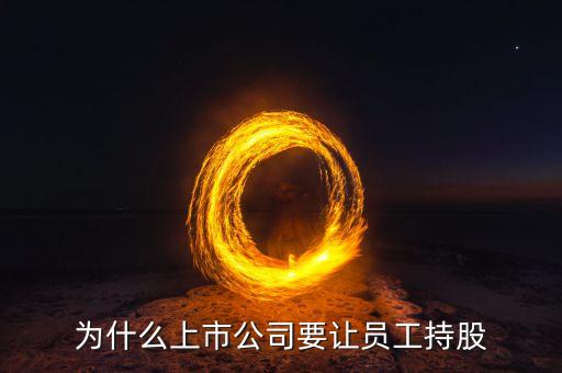 公司強(qiáng)迫員工入股的動機(jī)是什么，4個人的公司要求員工入股是什么目的