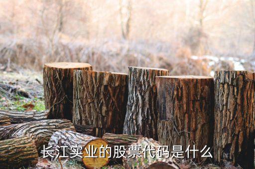 300513什么時(shí)候開盤，長江實(shí)業(yè)的股票代碼是什么