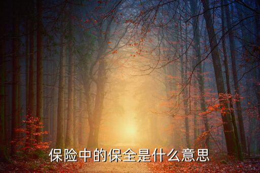 中國數(shù)據(jù)保全的意義是什么，保險中的保全是什么意思