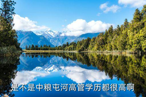 中糧張東風(fēng)什么級(jí)別，蒙牛的股權(quán)結(jié)構(gòu)中糧和它是什么關(guān)系高層主管分別是誰(shuí)