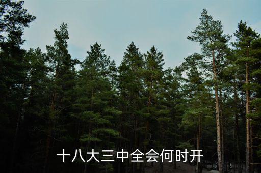 十八屆三中全會(huì)什么時(shí)候開，十八大三中全會(huì)何時(shí)開