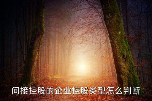 間接持股是什么意思，間接是什么意思
