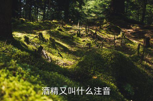 酒經(jīng)酒驚又名什么，酒精又叫什么注音