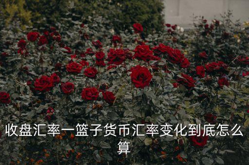 cfets貨幣籃子是什么，CF中籃子和UT代表什么